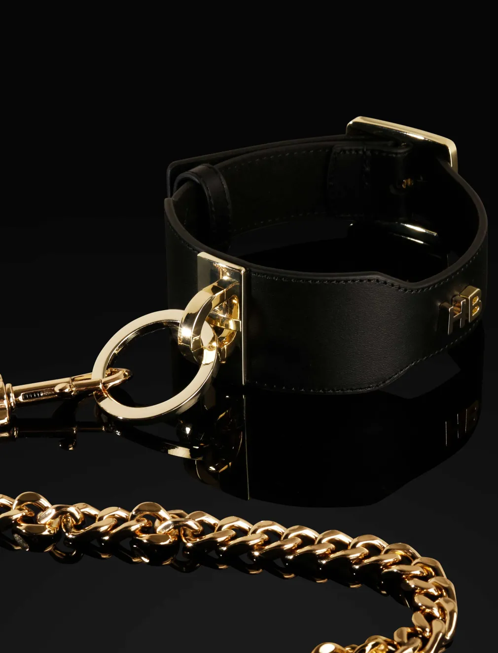 Fashion Fetish Leather Collar